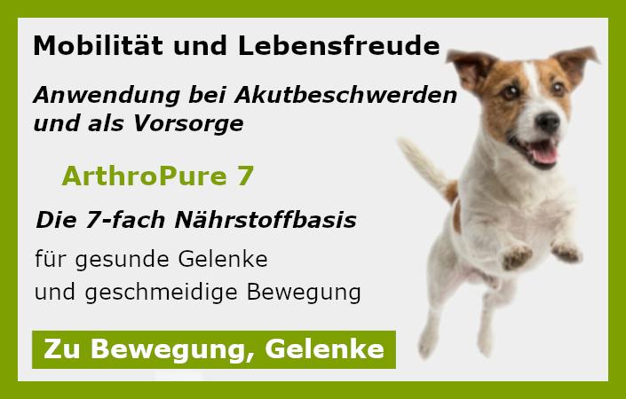 Gelenkpulver zur Ergänzung von Trockenbarf Menüs