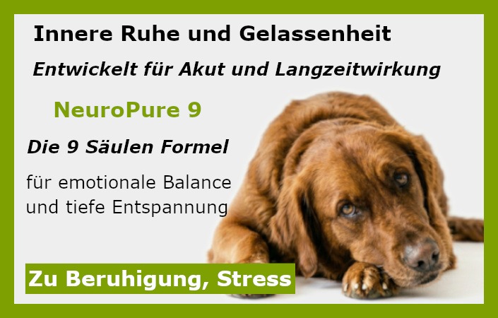 Pulver zur Beruhigung bei Hunden als Ergänzung zu Trockenbarf Menüs