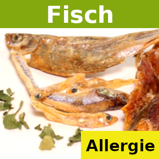 Wähle hier Hypoallergenes Hundefutter Trocken Barf Fisch als Fleischsorte