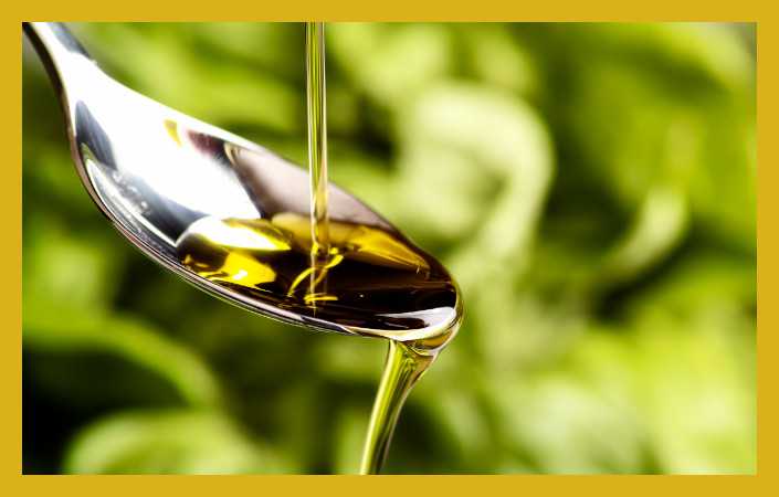Öl für Hunde und Katzen von Pfotenstrolch - reich an Omega 3 und Omega 6 Fettsäuren