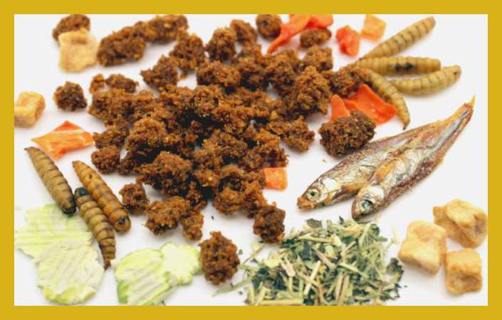 Hundefutter Hypoallergen - Ausschlussdiät - ohne Zusätze