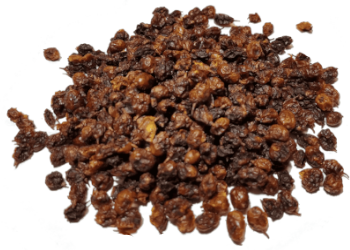 Mit der Auswahl von Sanddornbeeren kannst du den Wunschnapf Trockenbarf für deinem Hund ideal ergänzen.