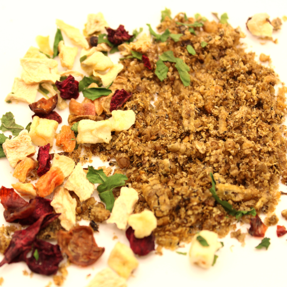 Insekten Menü als alternatives Hundefutter