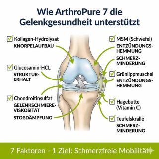 Hochkonzentrierte Wirkstoffe wie Kollagen, MSM und Grünlippmuschel für gesunde Hundegelenke.