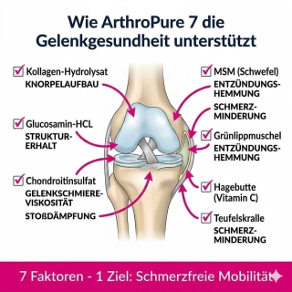 Hochkonzentrierte Wirkstoffe wie Kollagen, MSM und Grünlippmuschel für gesunde Hundegelenke.