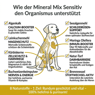 Purinarme Ernährung für Hunde