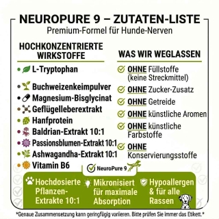 Übersicht der hochkonzentrierten Inhaltsstoffe von NeuroPure 9 inklusive 10:1 Extrakten, Ashwagandha und L-Tryptophan.